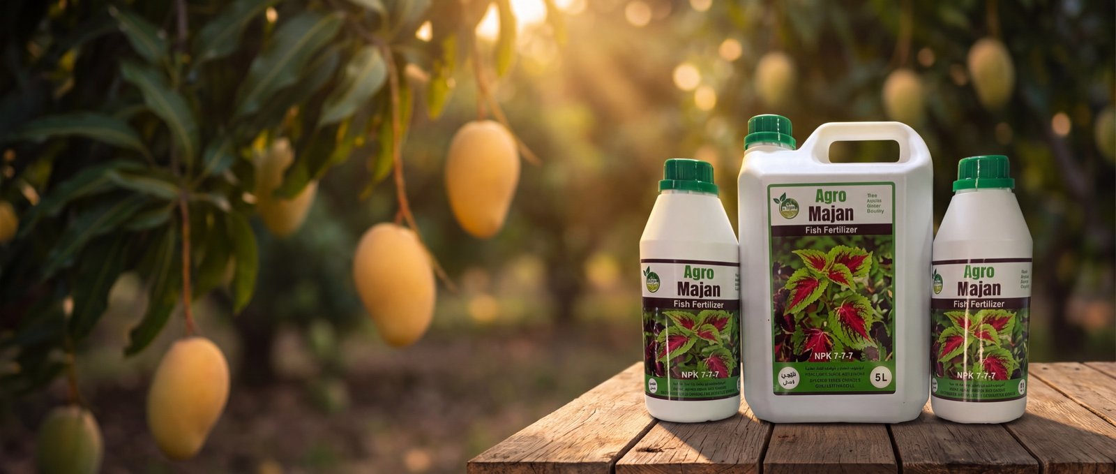 AgroMajan bottles in a mango orchard at golden hour